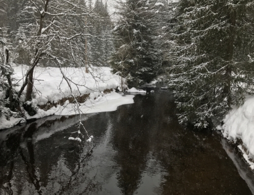 Prameny Vltavy a Teplá Vltava